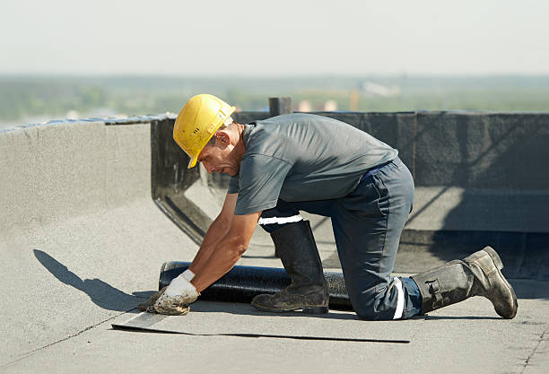 Best Insulation Maintenance and Repair in Williston, FL